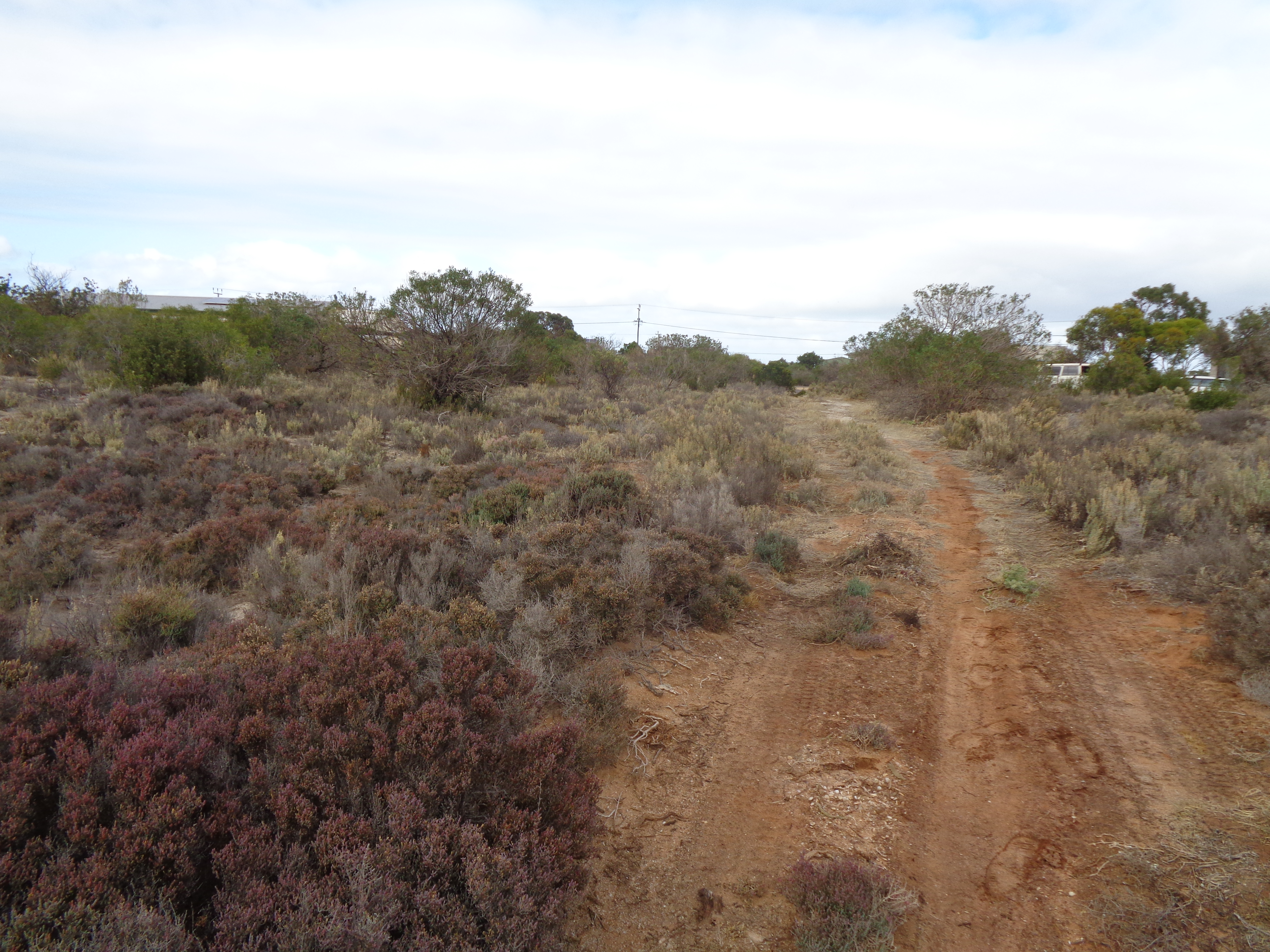 7 SKUA CT, THOMPSON BEACH SA 5501, 0房, 0浴, Section