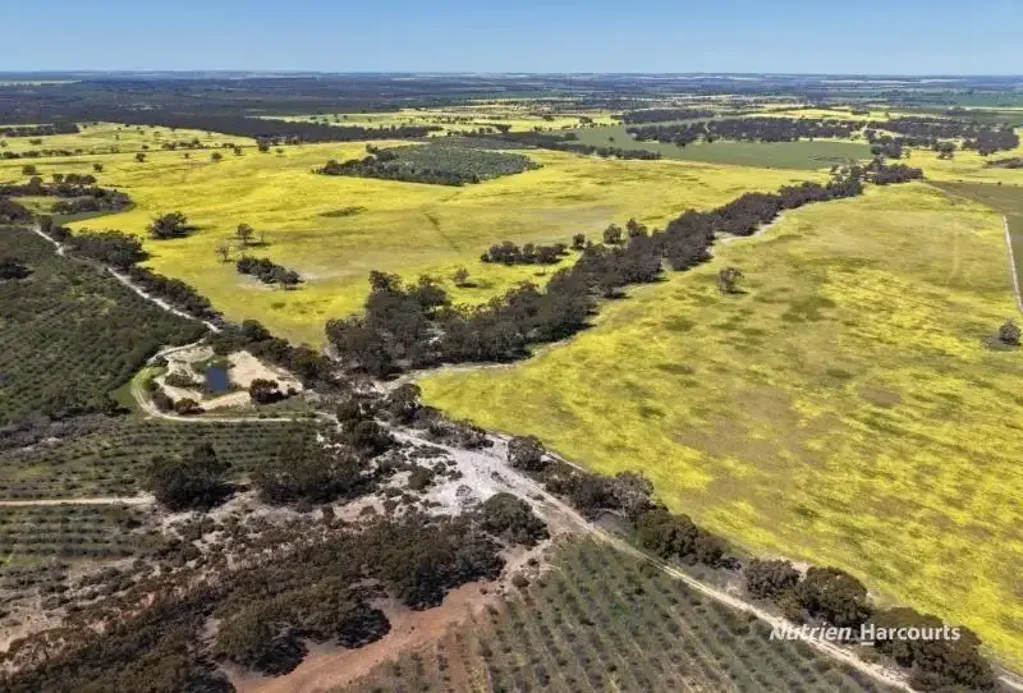 Morbinning  Quality Lifestyle & Mixed Farming Opportunity