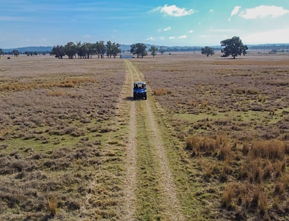 Lot 1 Springs Road, Greymare, Darling Downs, 0房, 0浴, Lifestyle Property