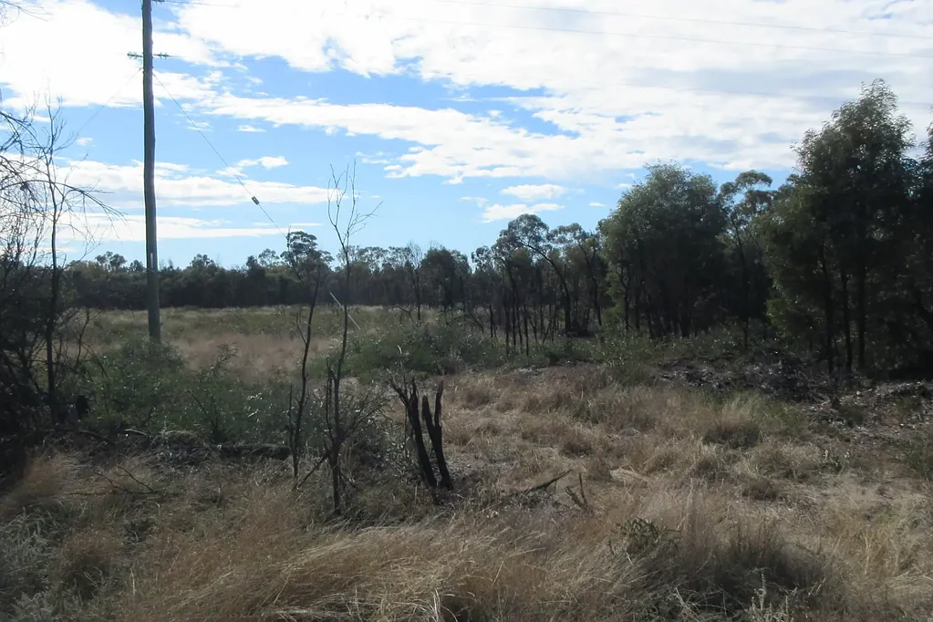 Tara 51.47 Acres close to town