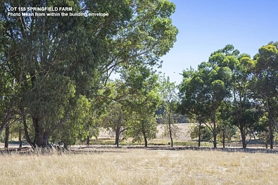 Yallingup LOT 155 UNDER OFFER | CONTACT US FOR REMAINING LOTS AVAILABLE