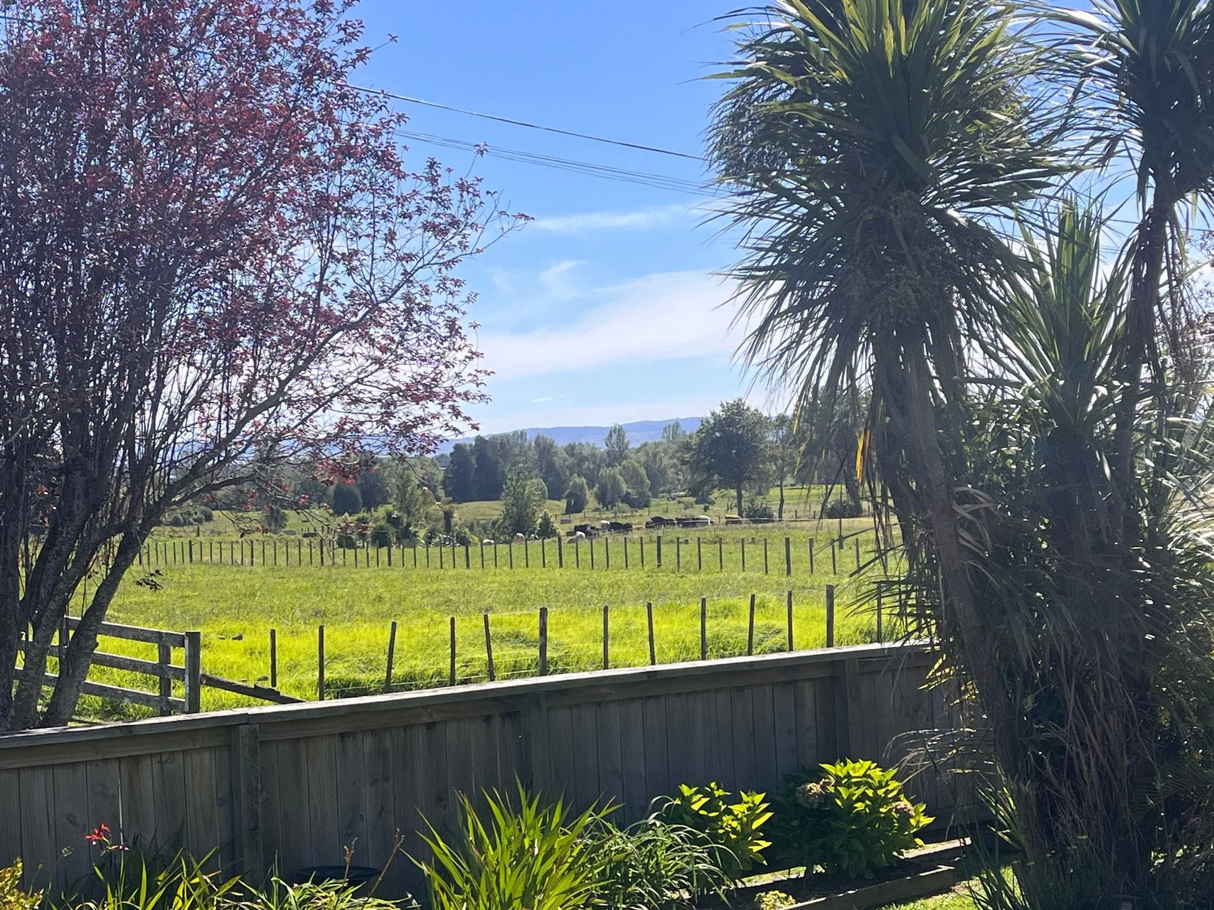 Te Aroha 3Phòng ngủ The Best of Both Worlds Starts Here