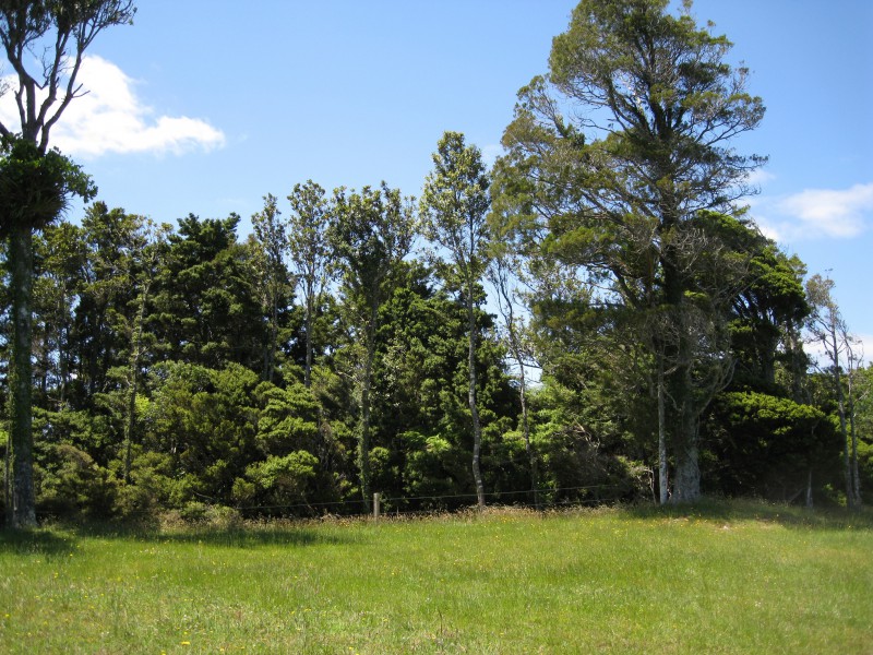 Waikaretu Valley Road, Glen Murray, Waikato, 0 침실, 1 욕실