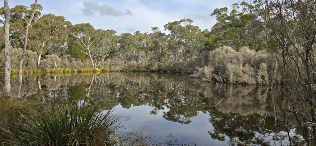 1240 Boro Road, Mayfield, NSW 2580