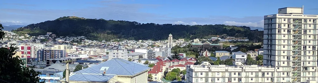 Aro Valley