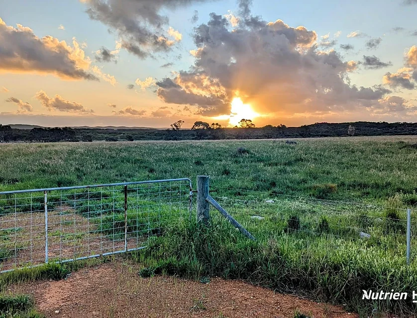 Lot 6 Ledge Point, Ledge Point, WA 6043, 0 રૂમ, 0 બાથરૂમ, Lifestyle Property