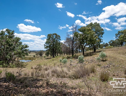 LOT 162/2202 Wellington Vale Road, Emmaville, Tamworth, 0 habitaciones, 0 baños, Lifestyle Property