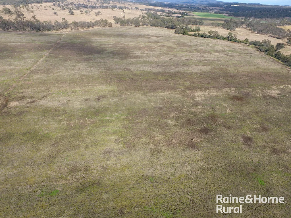 Haly Creek 267 Acres Irrigatable River Flats.