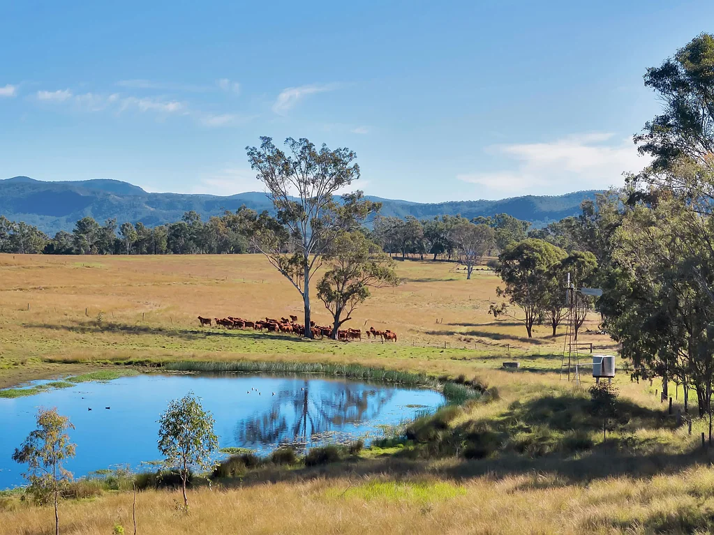 Rosevale Expansive Grazing Land with Magic Mountain Views