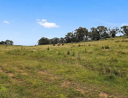 Lot 10 in DP 1005495 Wee Jasper Road, Tumut, South Coast, 0 Schlafzimmer, 0 Badezimmer, Section