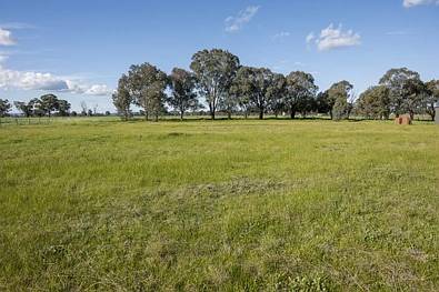 69 Inglis Road, Benalla, VIC 3672, 0 habitaciones, 0 baños, Section