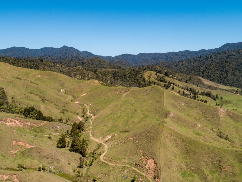 375 Kaimarama Road, Kaimarama, Coromandel, 0 rūma, 0 rūma horoi