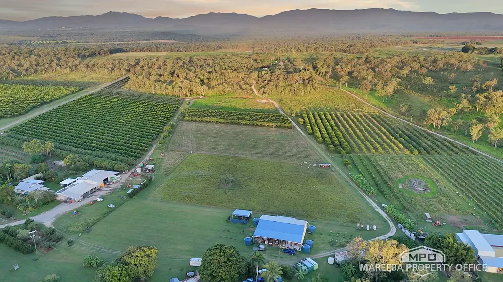 Mareeba BARRON RIVER BEAUTY – LIFESTYLE & HUGE SHED