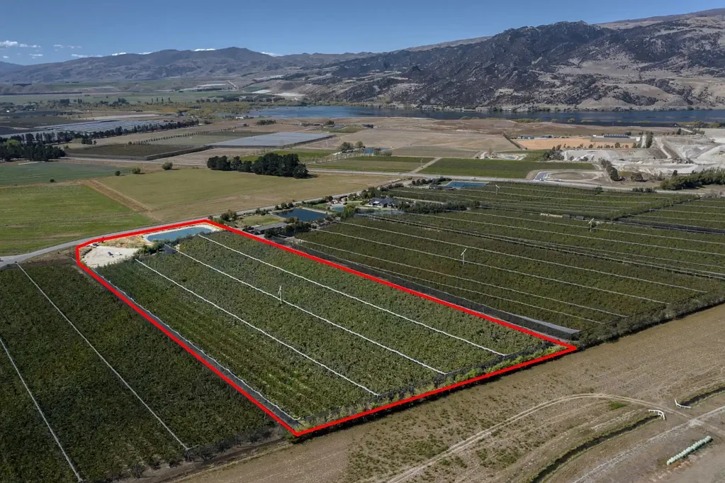 Cromwell Vendor Says Sell