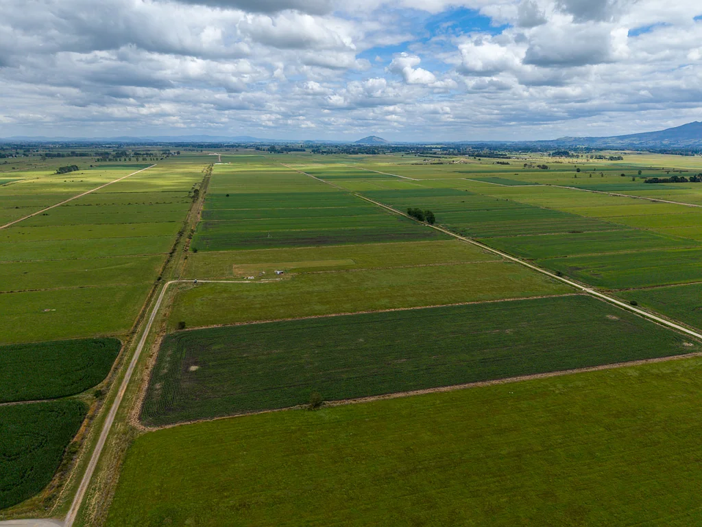 Temple View 40 HA - Vendor Ready for Action