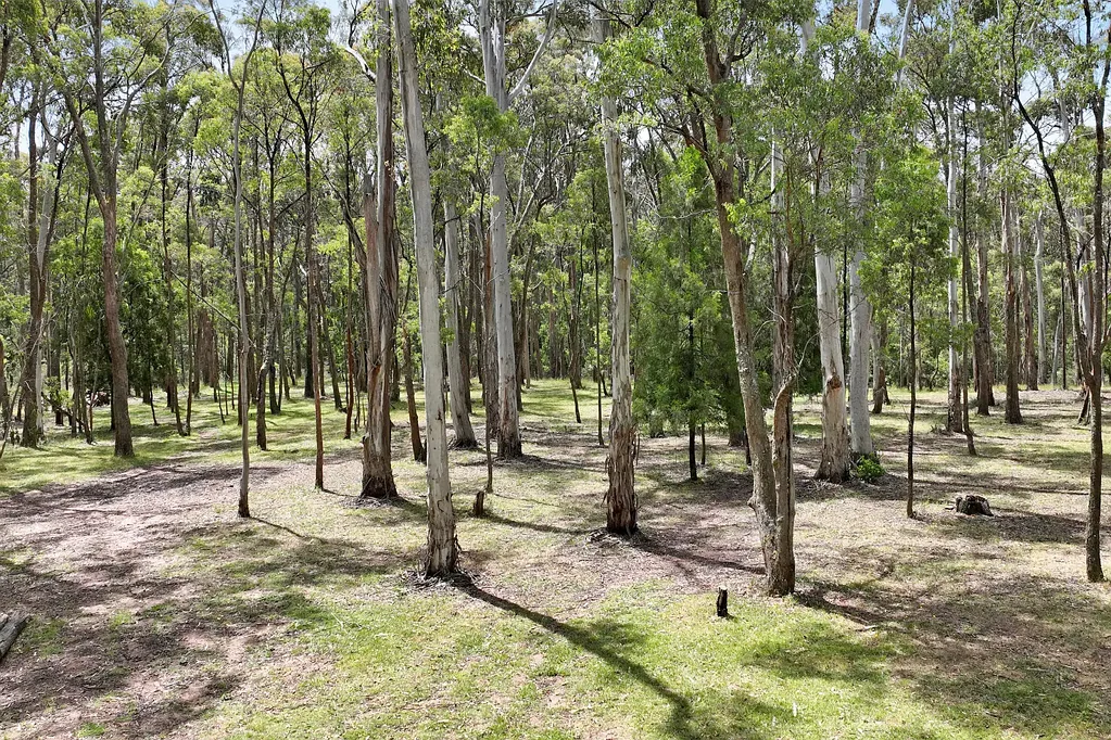 Tolmie  Hunters Bushland Escape