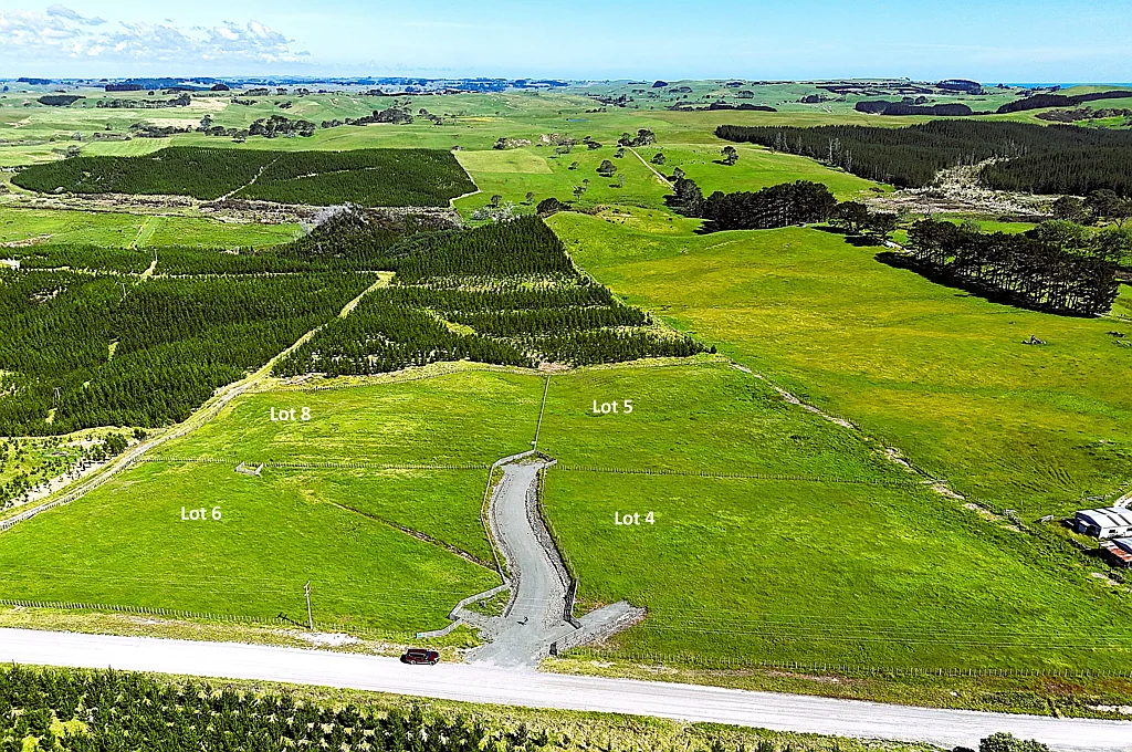 Dargaville Spoilt for Choice