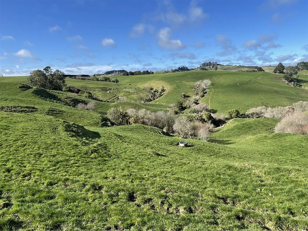Otorohanga Larger lifestyle, or Small Runoff