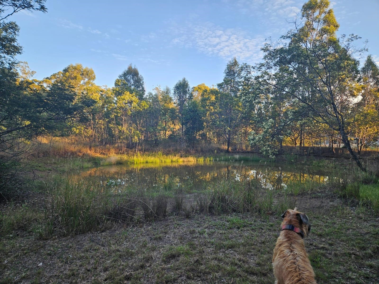 828 OLD ESK RD, TAROMEO QLD 4314, 0 phòng ngủ, 0 phòng tắm, Lifestyle Property