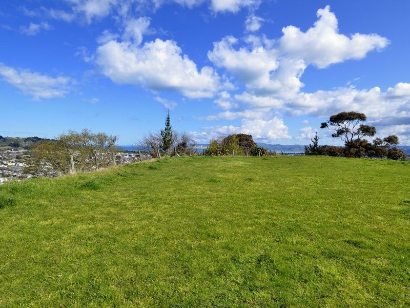 1c Oswald Street, Mangapapa, Gisborne, 4 Bedrooms, 0 Bathrooms