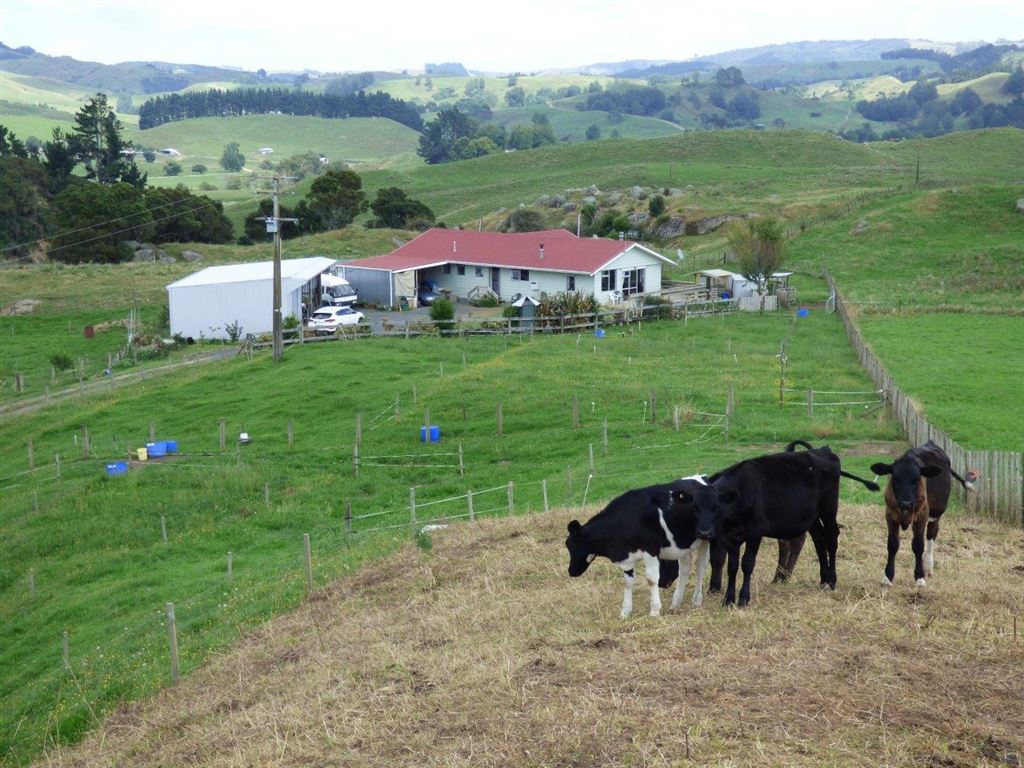 1618 Maihiihi Road, Maihiihi, Otorohanga, 3 ਕਮਰੇ, 1 ਬਾਥਰੂਮ