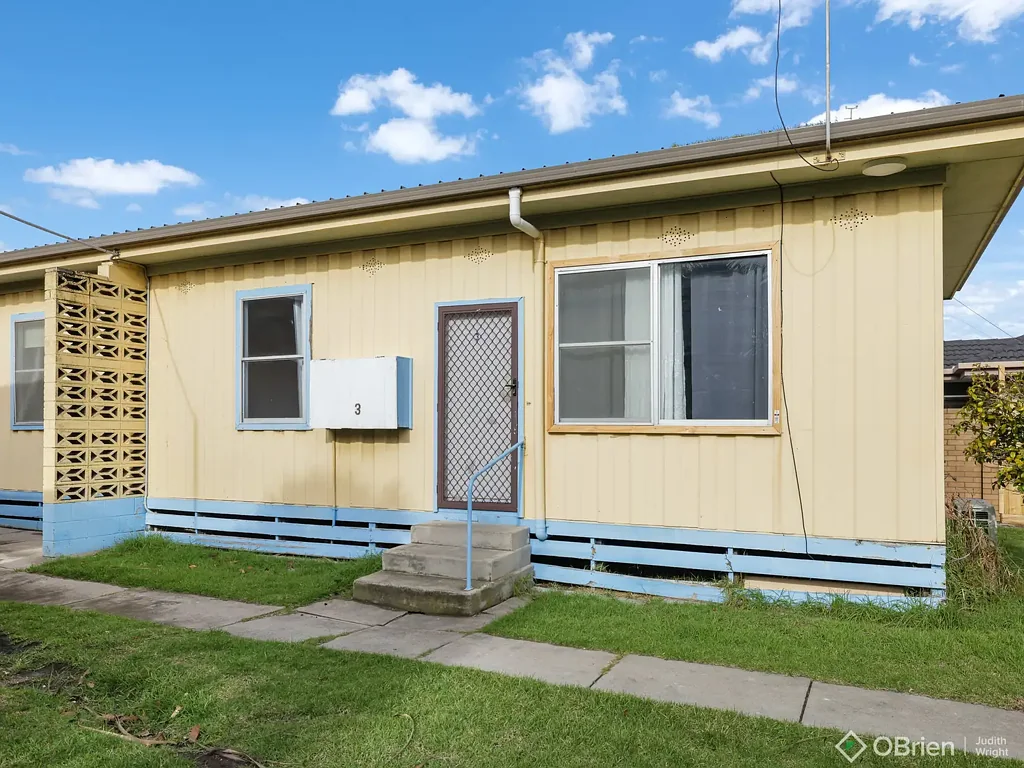 Freshly Renovated & Full of Natural Light