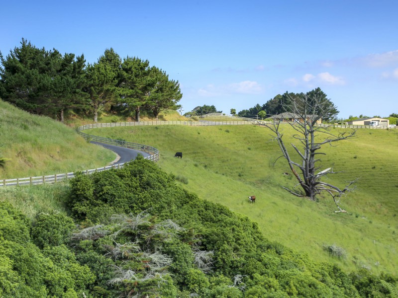 231 Pinnacle Hill Road, Mangatawhiri, Waikato, 5 Kuwarto, 0 Banyo