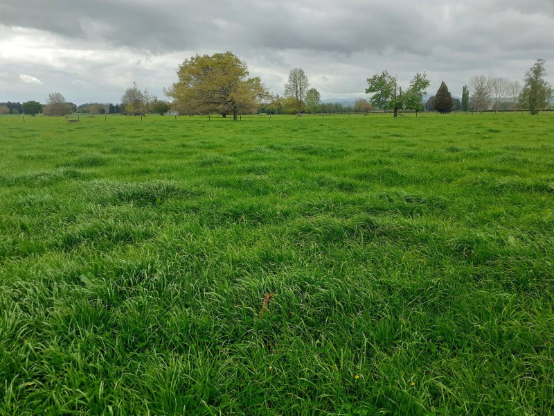 Old Te Kuiti Road, Otorohanga, Otorohanga, 0 침실, 0 욕실