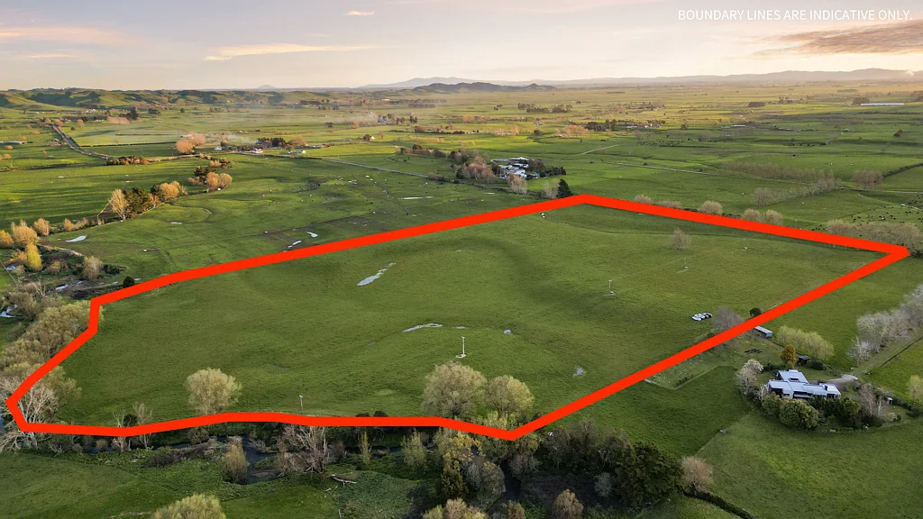 Morrinsville Flat, Fertile & Full of Potential – 13.78 Hectares