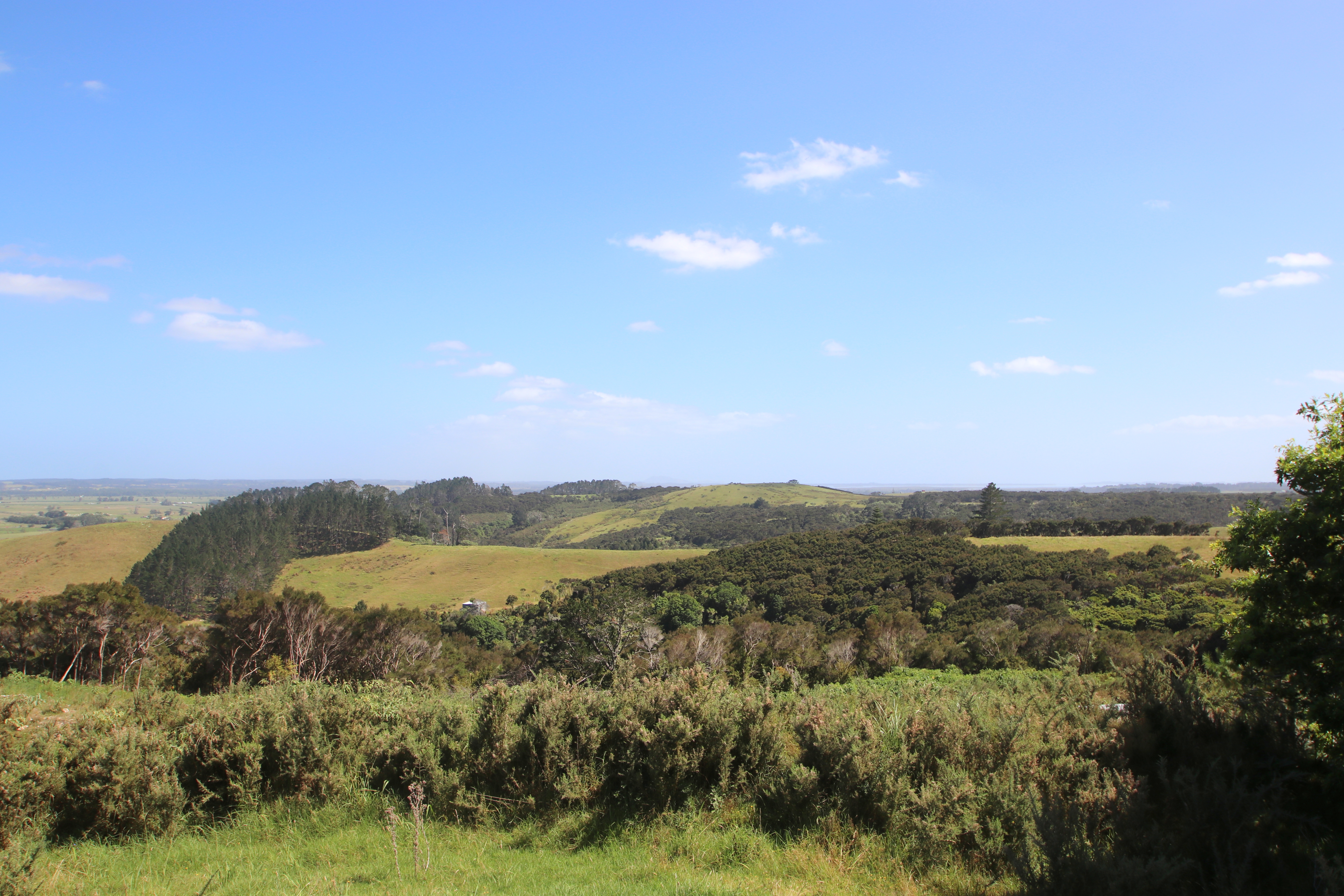 167 Hillcrest Road, Kaitaia, Far North, 3房, 1浴, House