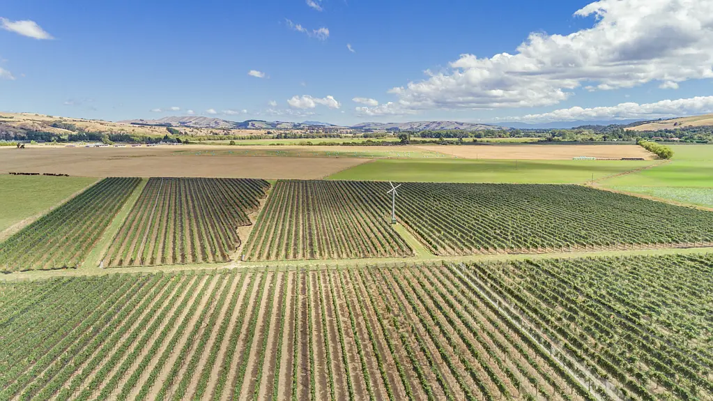Carterton Johner Estate, Wairarapa