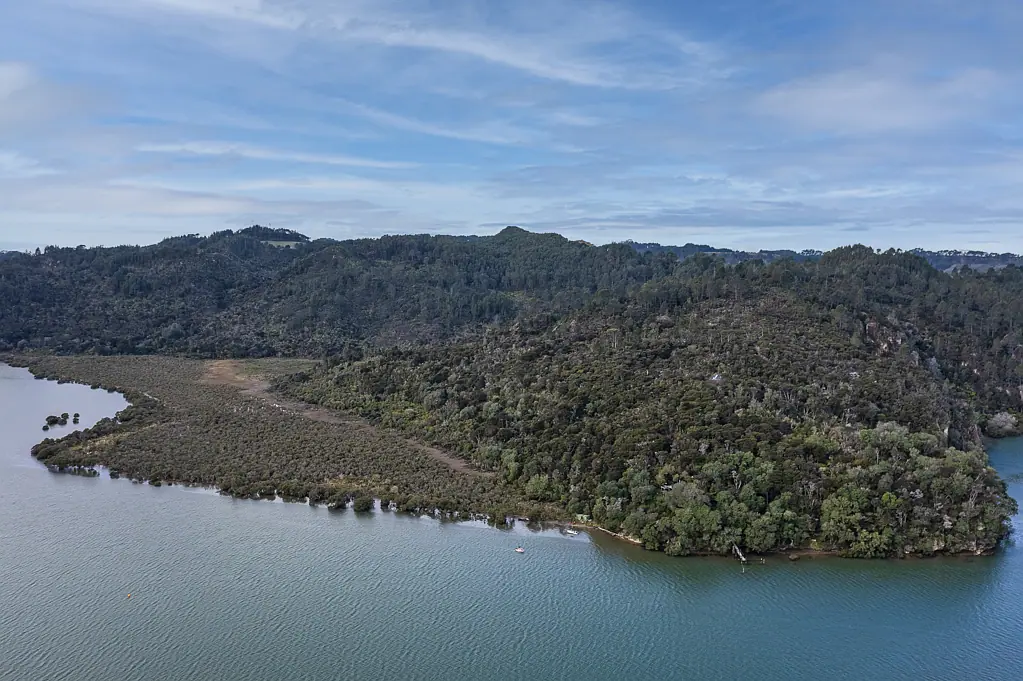 Cooks Beach On the edge of the Whitianga Harbour