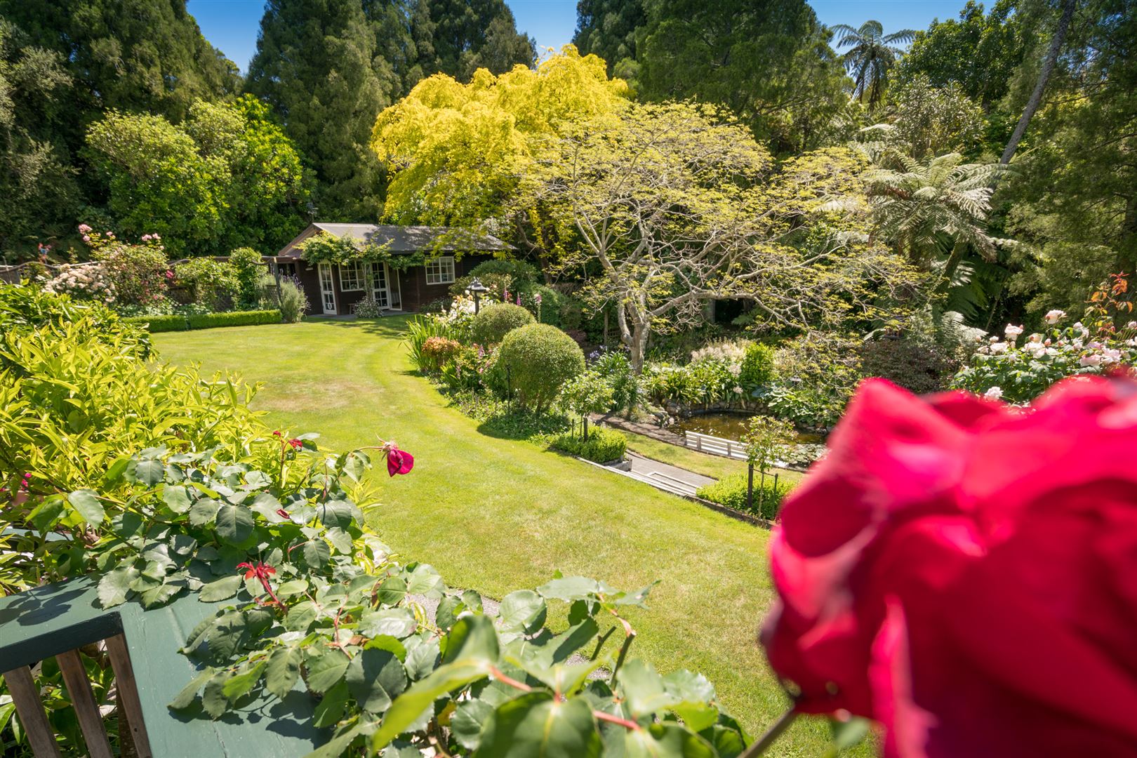 50 Manu Grove, Waikanae, Kapiti Coast, 5房, 0浴