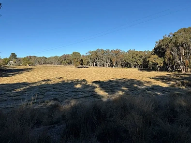 593 Goldfields Road, Stanthorpe, QLD 4380, 0房, 0浴, Section
