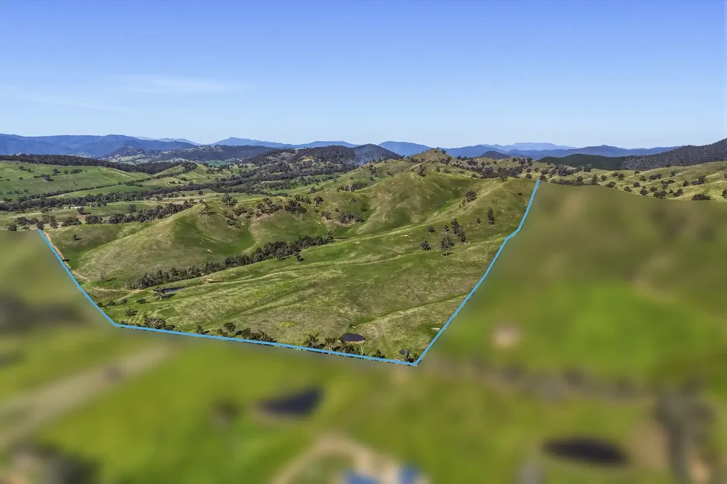 Piries  322 ACRES OF QUALITY GRAZING LAND NEAR MANSFIELD