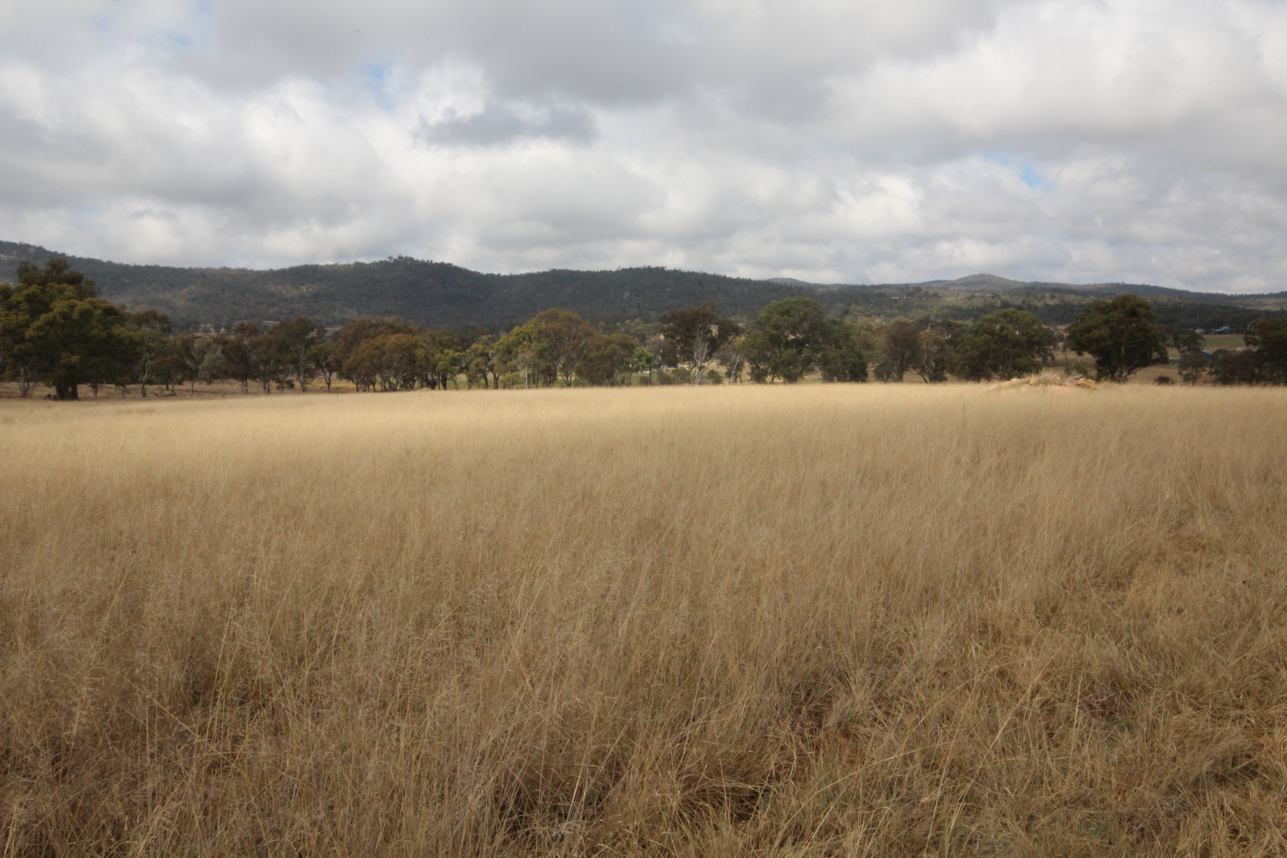 108 BACK CREEK RD, GLEN APLIN QLD 4381, 0房, 0浴, House