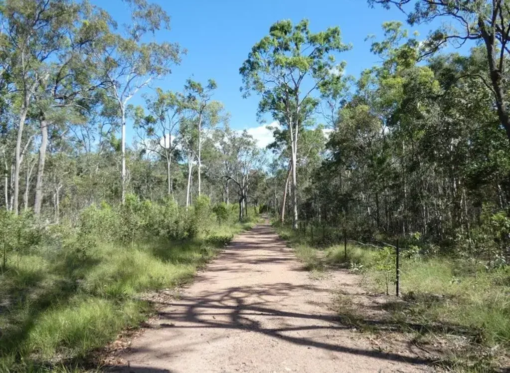 255 Mollenhagens Road, Winfield, QLD 4670