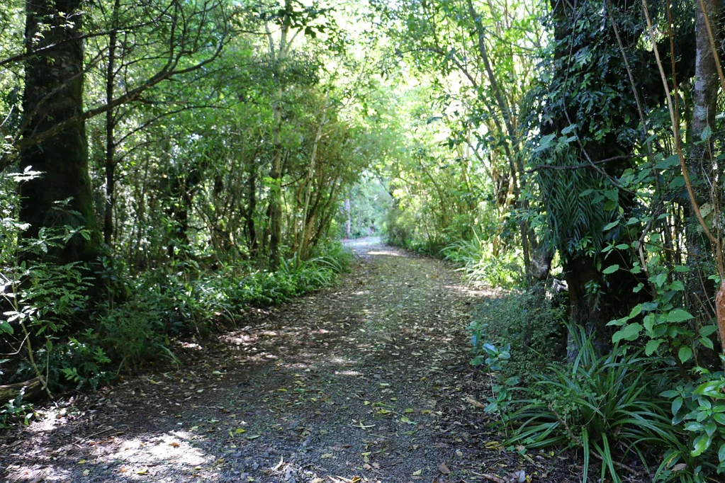 Geraldine Forest Living!