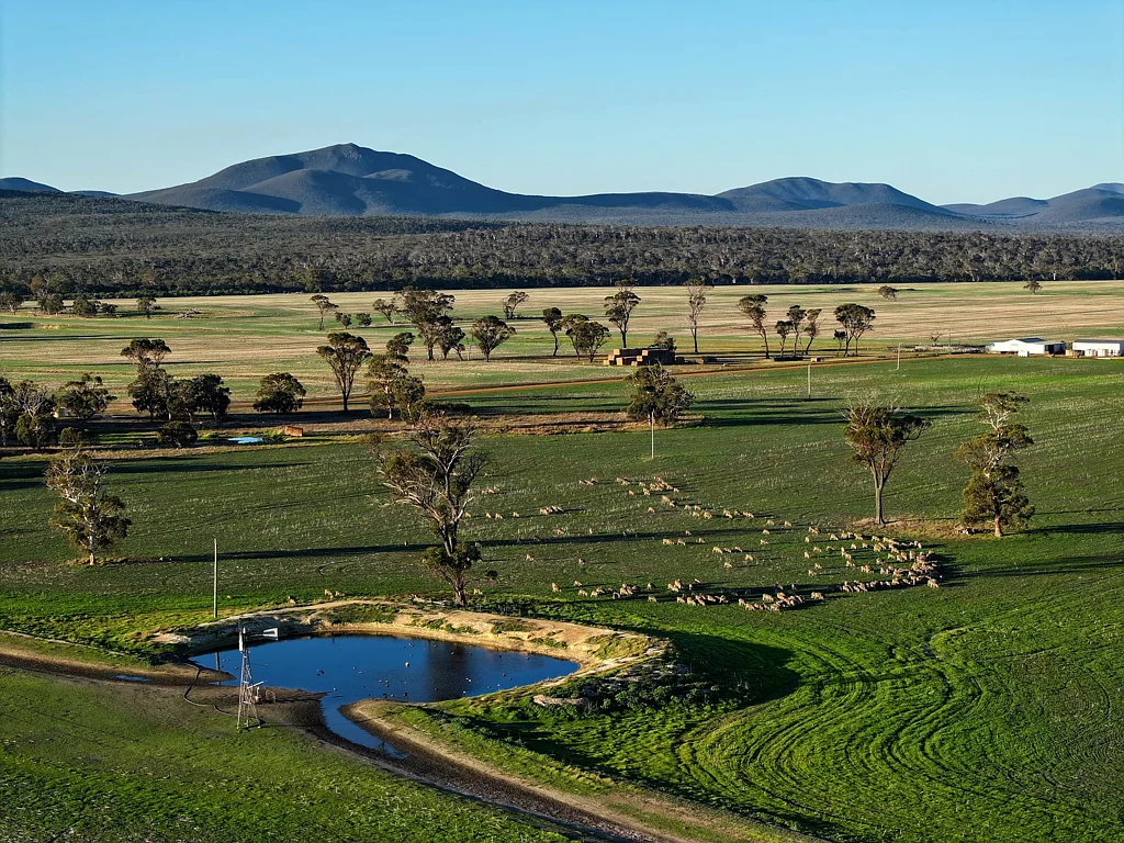 Kendenup 712 & 340 View Range Road, Kendenup - Chinenup & Tony’s
Prime Mixed Farming Opportunity in the Heart of the Great Southern