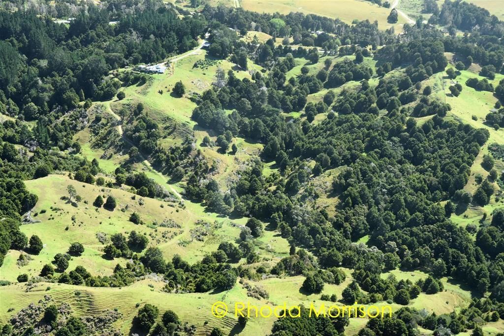 280 Central Road, Mareretu, Kaipara, 3房, 0浴