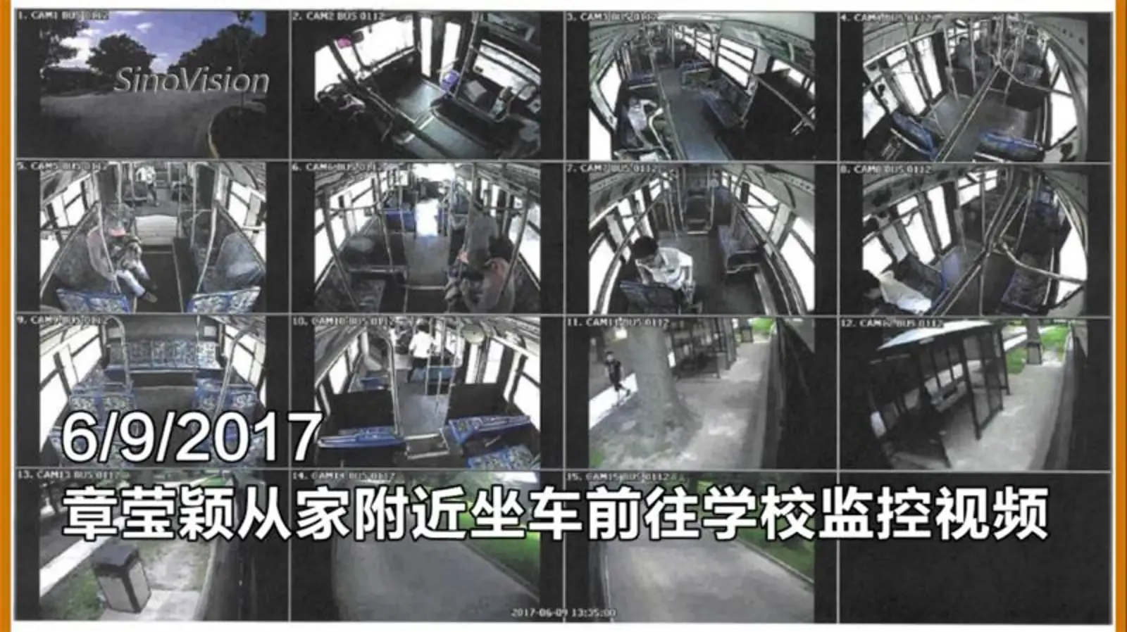章莹颖案嫌犯搜索记录曝光曾检索连环杀手、捆绑女人信息