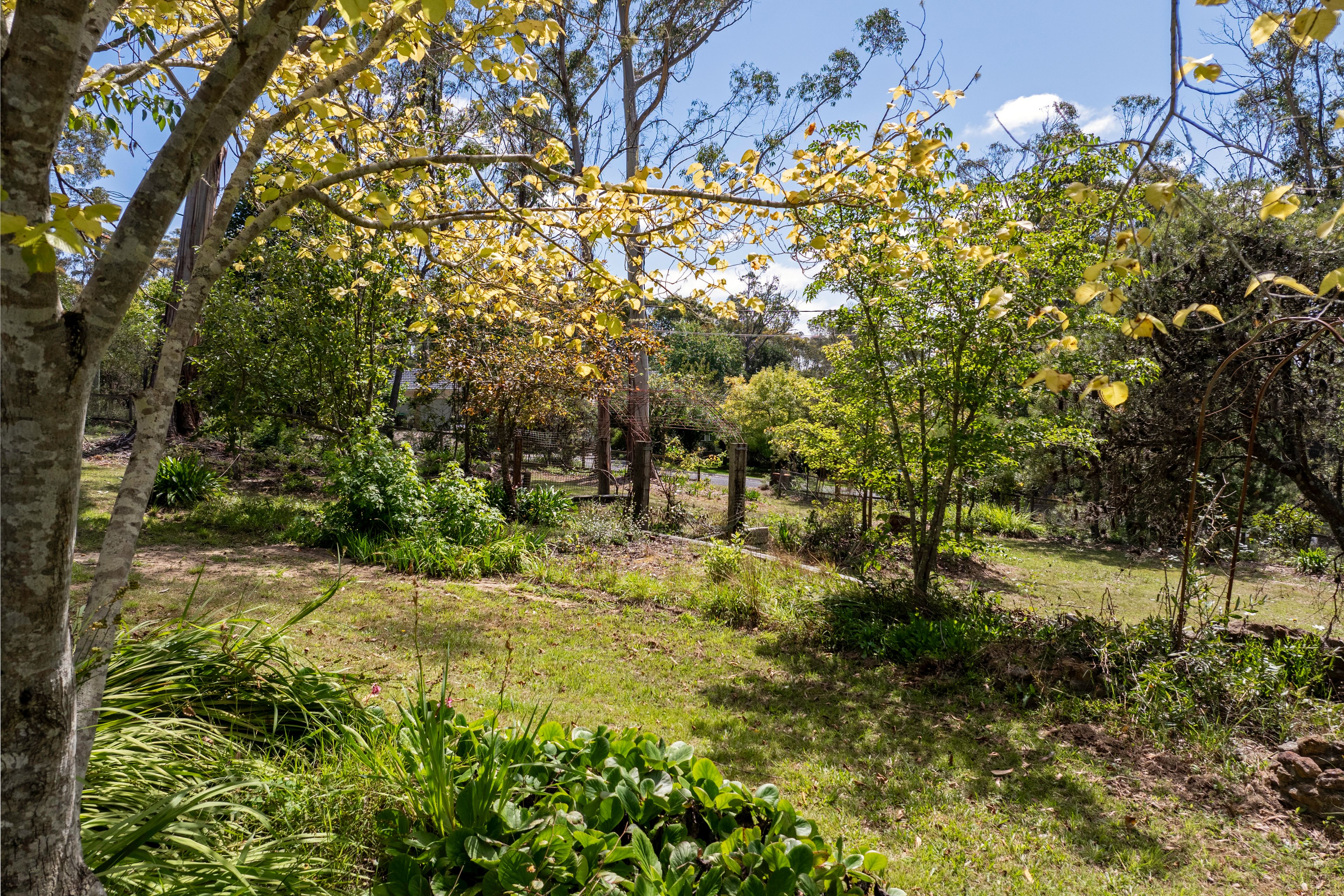 5 MOUNT YORK RD, MOUNT VICTORIA NSW 2786, 0 chambres, 0 salles de bain, Section