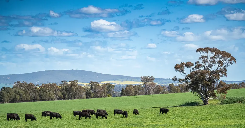 Walbundrie 355 acres Mixed Farming - Start Up or Add On.