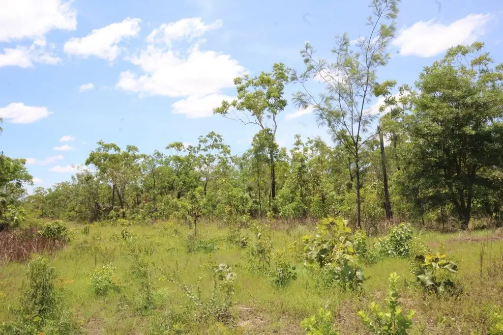 46 Mielang Road, Blackmore, NT 822