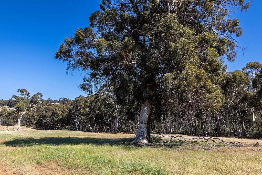 LOT 630 Barzona Way, Lower Chittering, WA 6084