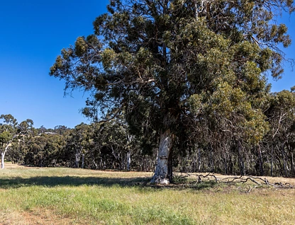 LOT 616 Malvi Close, Lower Chittering, Swan, 0 rūma, 0 rūma horoi, Section
