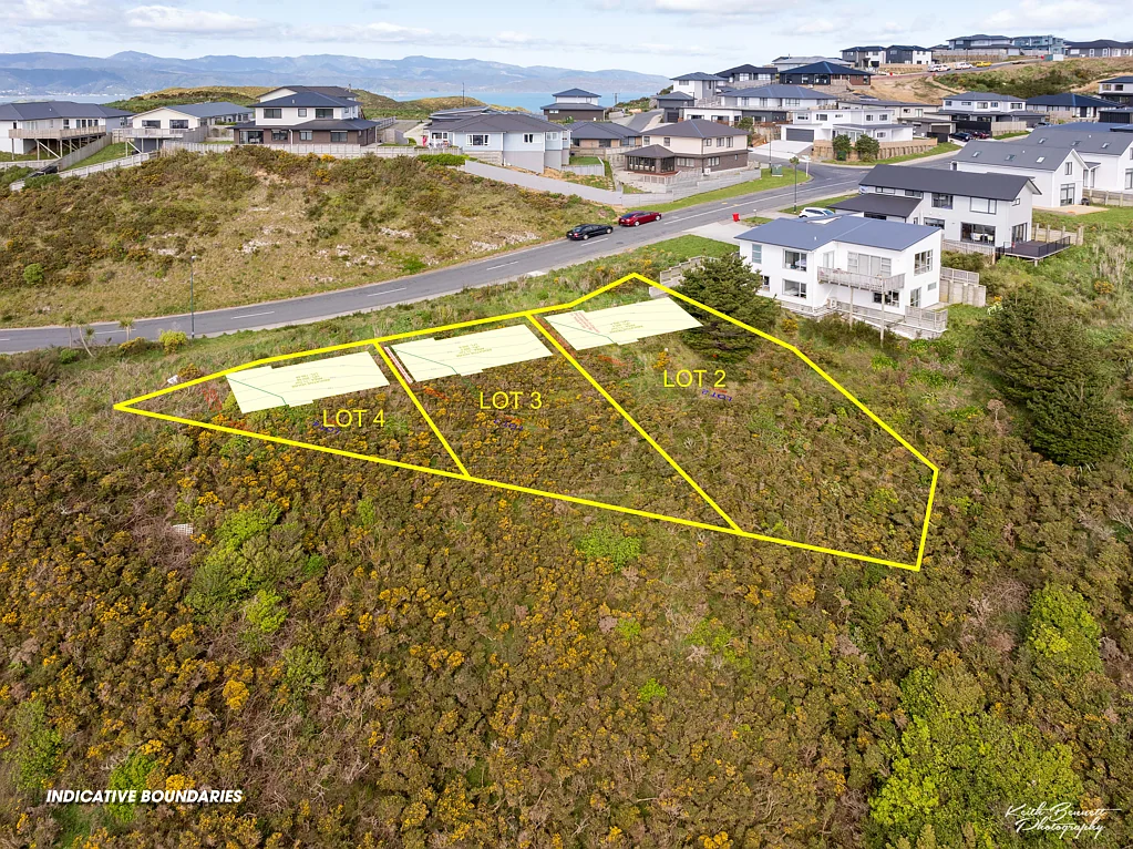 Newlands Resource Consent  To Build Three Houses!