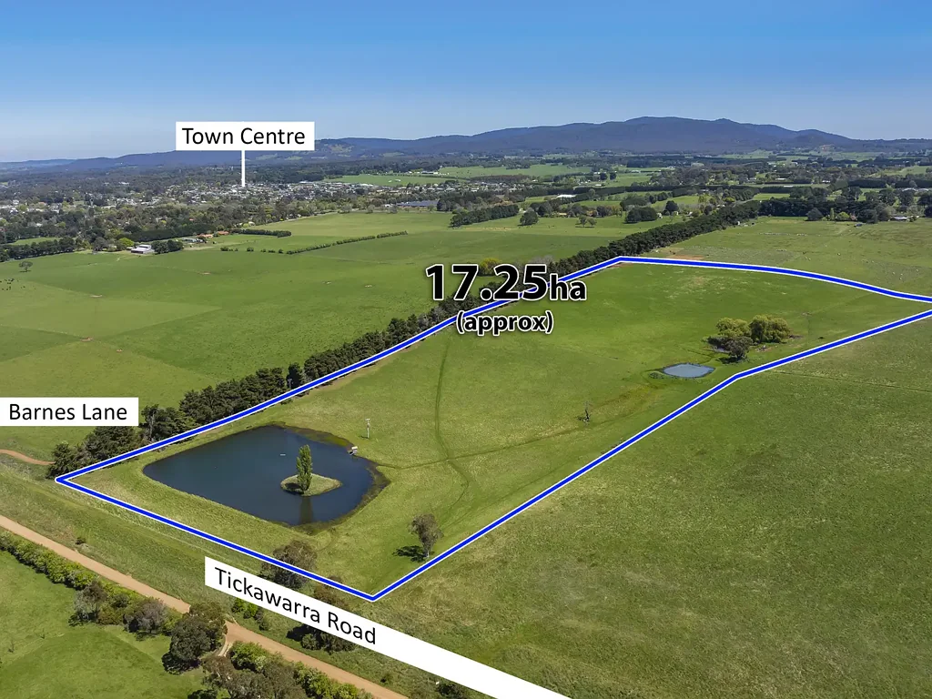 Romsey  Grand Opportunity for Grand Designs