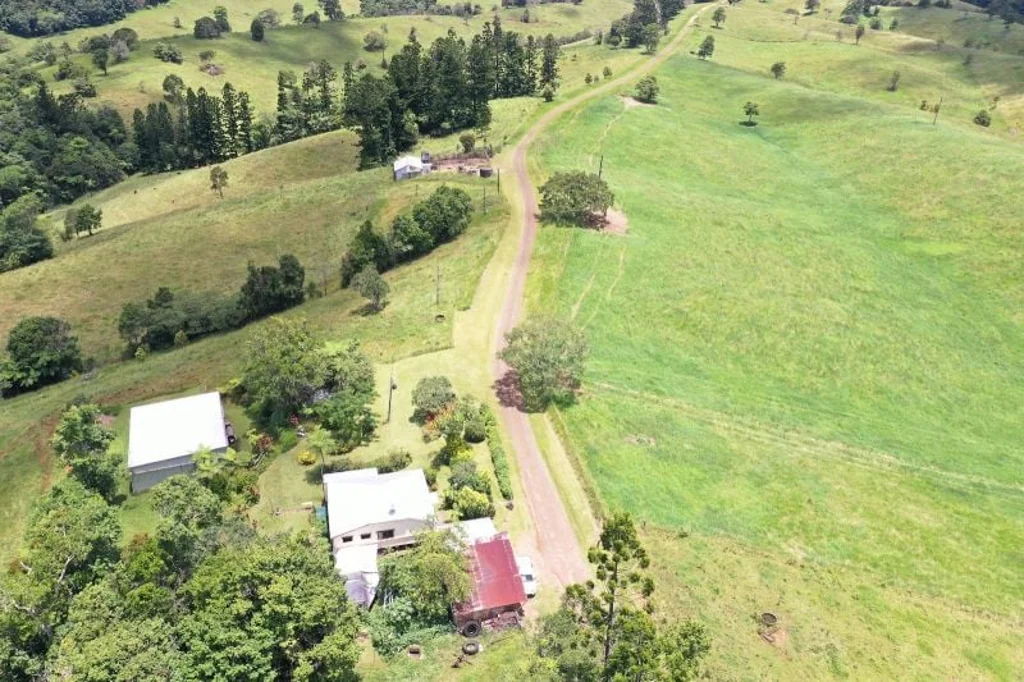 Millaa Millaa Grazing property