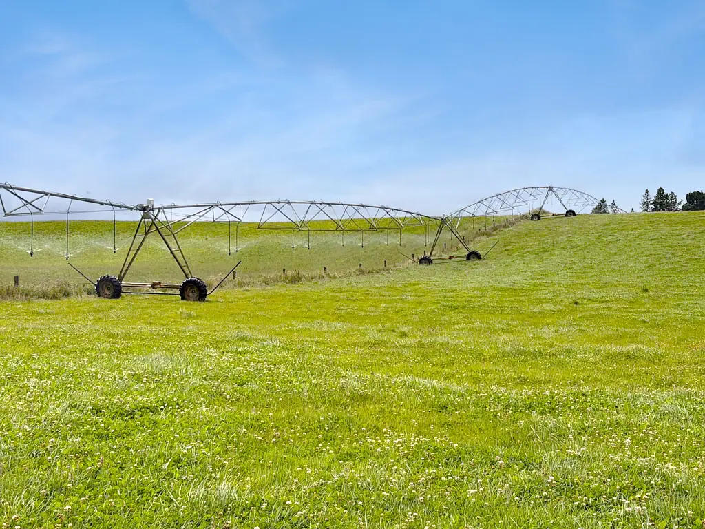 Ranfurly Irrigation and fertile land = Quality